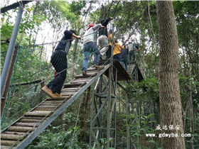 萬(wàn)綠谷1.jpg
