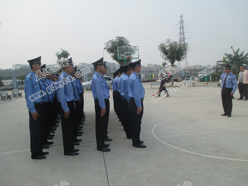 深圳小區(qū)物業(yè)保安公司新聞：植物園內(nèi)發(fā)現(xiàn)國家一級保護動物倭蜂猴
